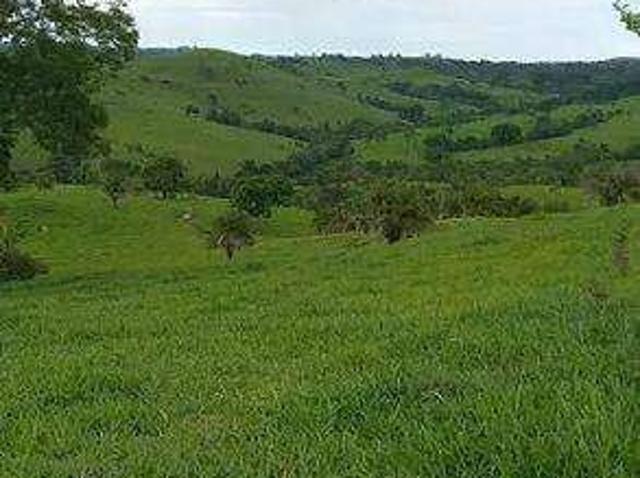 Fazenda venda em Região Geográfica Imediata de Ceres - Rialma - Goianésia, Nova América