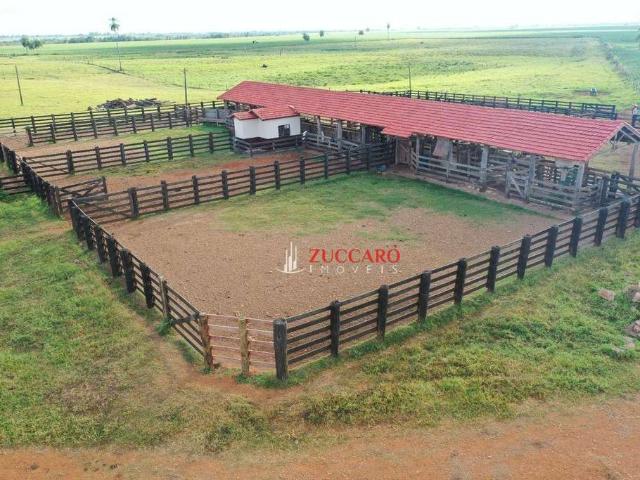 Fazenda venda em Nova Andradina, Mato Grosso do Sul