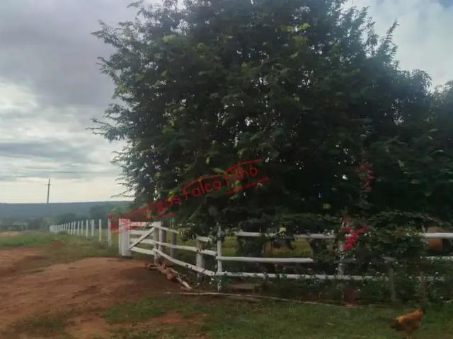 Fazenda venda em Nova Andradina, Mato Grosso do Sul