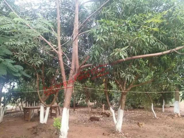 Fazenda venda em Nova Andradina, Mato Grosso do Sul