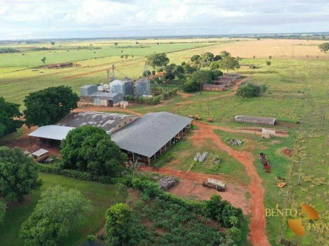 Fazenda venda em Nova Andradina, Mato Grosso do Sul