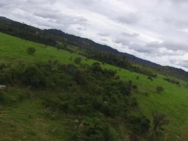 Fazenda venda em Região Geográfica Imediata de Alta Floresta, Nova Bandeirantes
