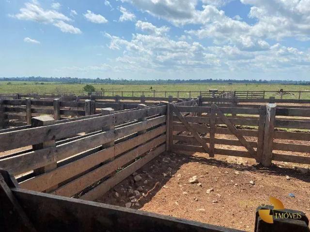 Fazenda venda em Região Geográfica Imediata de Alta Floresta, Nova Bandeirantes