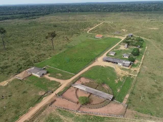 Fazenda venda em Região Geográfica Imediata de Alta Floresta, Nova Bandeirantes