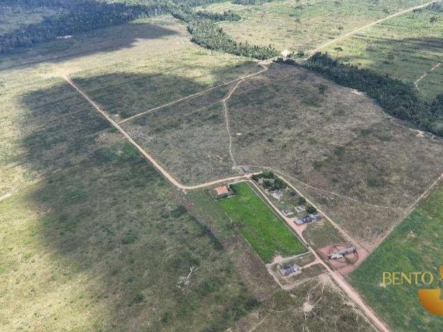 Fazenda venda em Nova Bandeirantes, Região Geográfica Intermediária de Sinop