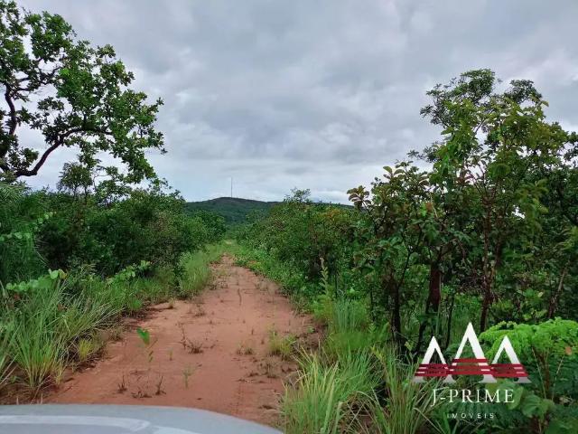 Fazenda venda em Região Geográfica Imediata de Cuiabá, Nova Brasilândia