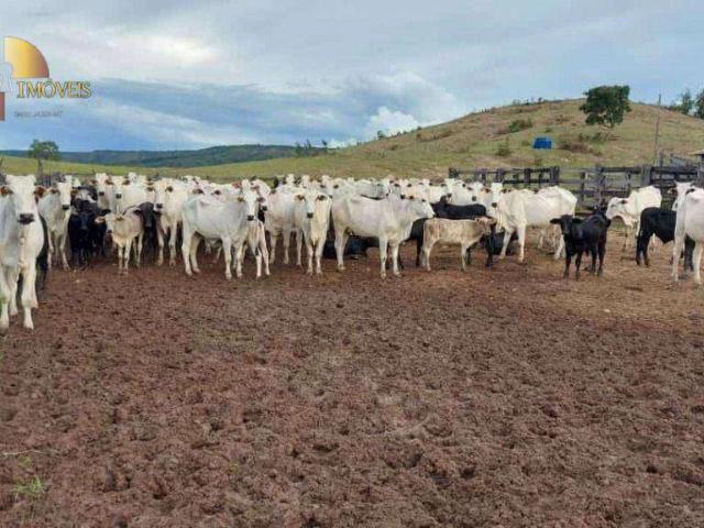 Fazenda venda em Nova Brasilândia, Região Geográfica Intermediária de Cuiabá