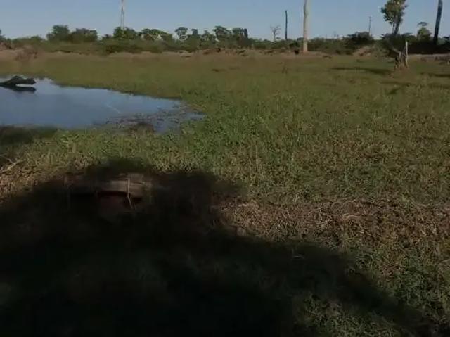 Fazenda venda em Região Geográfica Imediata de Goiás - Itapuranga, Nova Crixás