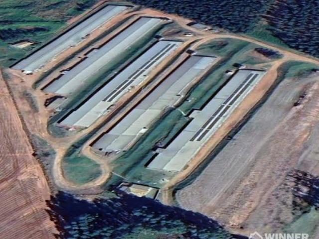 Sítio e chácara venda em Região Geográfica Imediata de Maringá, Nova Esperança