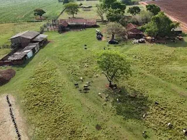 Fazenda venda em Região Geográfica Imediata de Maringá, Nova Esperança