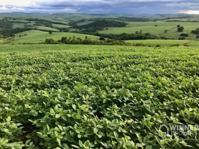 Sítio e chácara venda em Região Geográfica Imediata de Cornélio Procópio-Bandeirantes, Nova Fátima