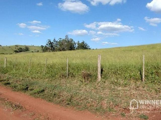 Sítio e chácara venda em Região Geográfica Imediata de Cornélio Procópio-Bandeirantes, Nova Fátima
