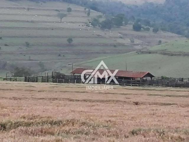 Fazenda venda em Região Geográfica Imediata de Cornélio Procópio-Bandeirantes, Nova Fátima