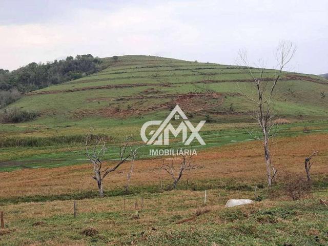 Fazenda venda em Nova Fátima, Região Geográfica Intermediária de Londrina