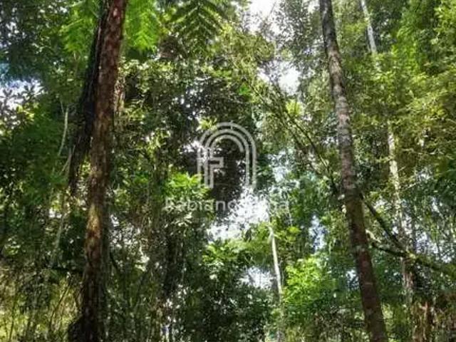 Fazenda venda em Região Geográfica Imediata de Nova Friburgo, Nova Friburgo