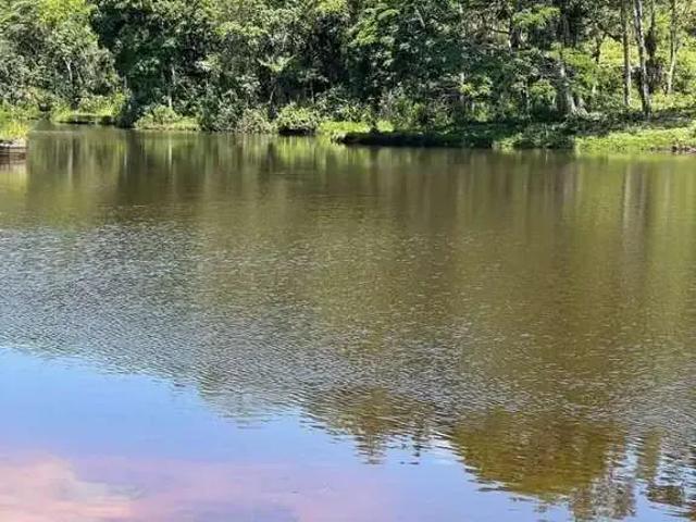 Fazenda venda em Região Geográfica Imediata de Nova Friburgo, Nova Friburgo