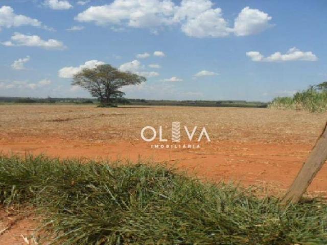 Fazenda venda em Jardim das Flòres, Amargosa
