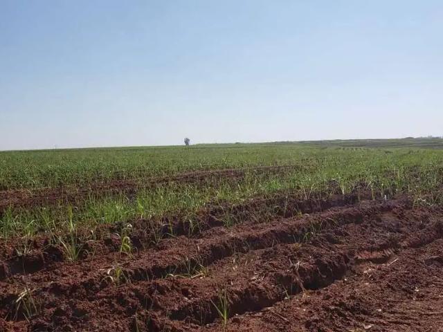 Fazenda venda em Região Imediata de São José do Rio Preto, Região Metropolitana de São José do Rio Preto