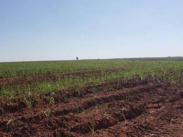 Fazenda venda em Região Imediata de São José do Rio Preto, Região Metropolitana de São José do Rio Preto
