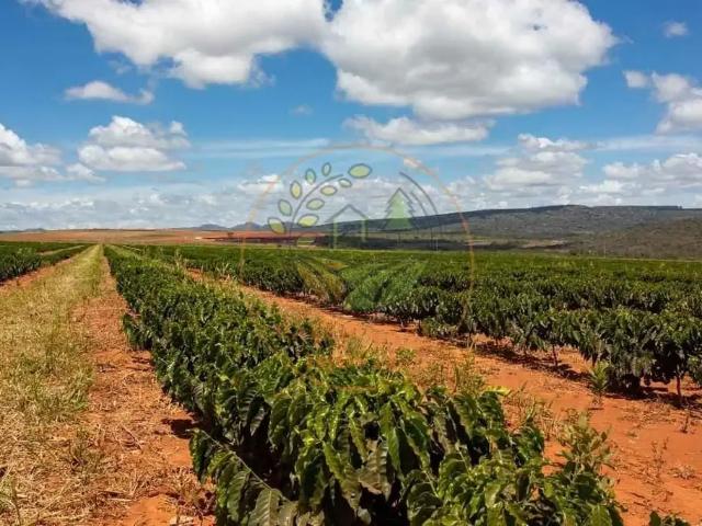 Fazenda venda em Região Geográfica Imediata de Belo Horizonte, Região Metropolitana de Belo Horizonte