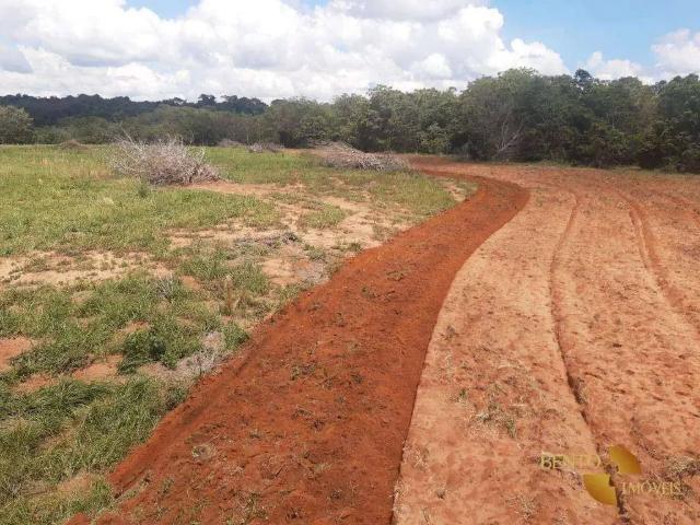 Fazenda venda em Região Geográfica Imediata de Diamantino, Nova Maringa
