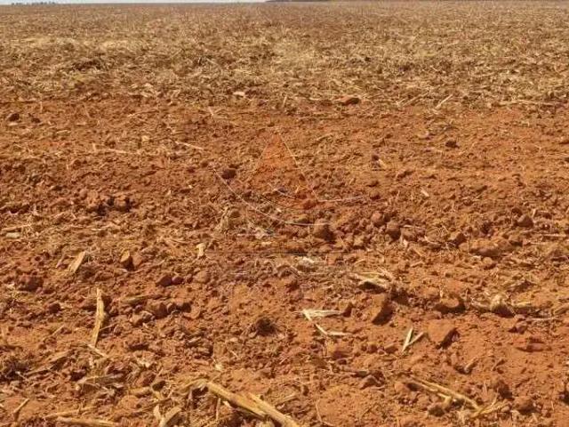 Fazenda venda em Região Geográfica Imediata de Diamantino, Nova Maringa