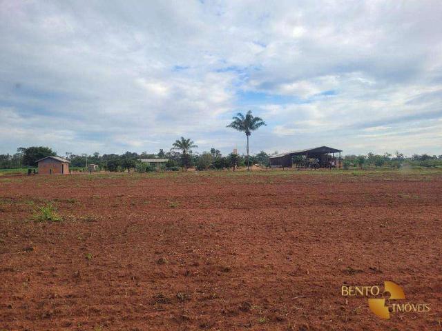 Fazenda venda em Nova Maringá, Região Geográfica Intermediária de Cuiabá
