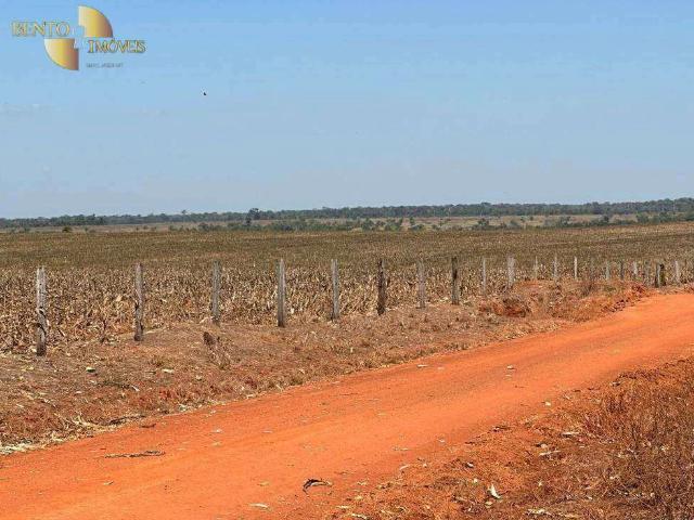 Fazenda venda em Nova Maringá, Região Geográfica Intermediária de Cuiabá
