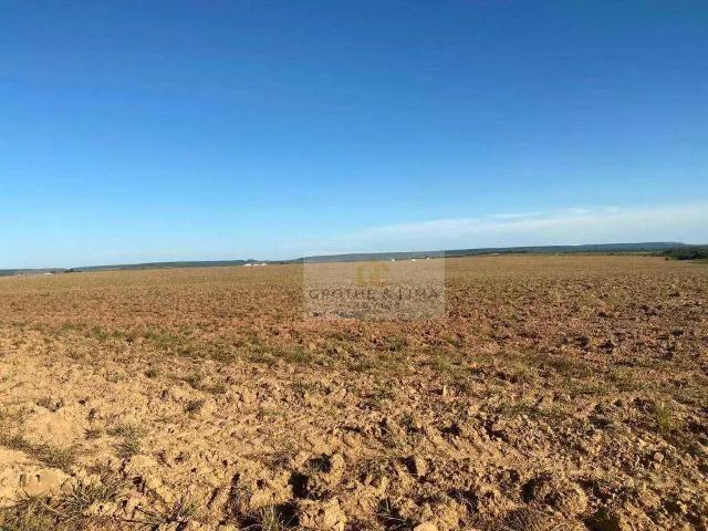 Fazenda venda em Região Geográfica Imediata de Diamantino, Nova Maringa