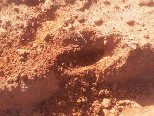 Fazenda venda em Nova Maringá, Região Geográfica Intermediária de Cuiabá