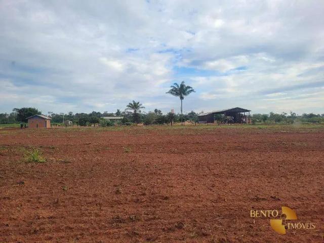 Fazenda venda em Região Geográfica Imediata de Diamantino, Nova Maringa