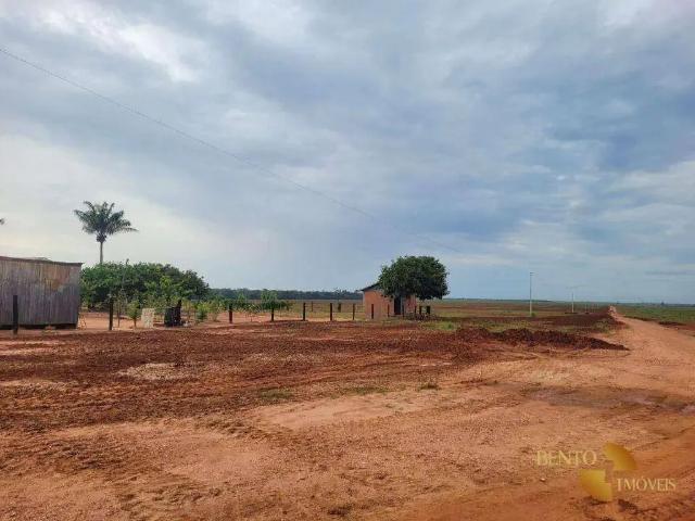 Fazenda venda em Região Geográfica Imediata de Diamantino, Nova Maringa