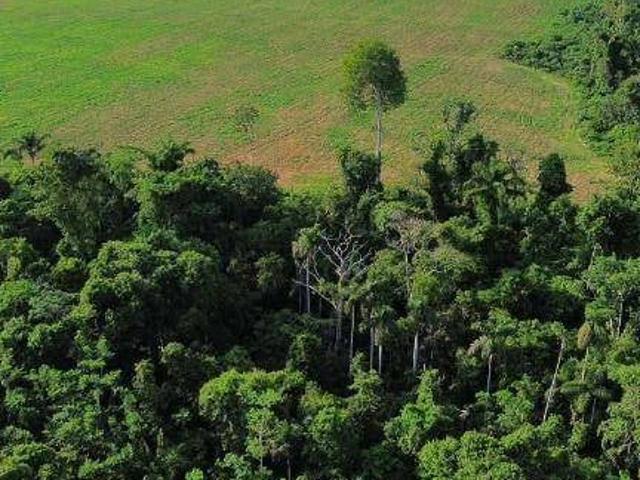 Fazenda venda em Nova Monte Verde, Região Geográfica Intermediária de Sinop