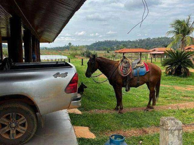 Fazenda venda em Nova Monte Verde, Região Geográfica Intermediária de Sinop