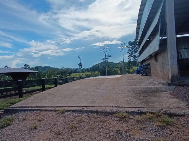 Fazenda venda em Nova Monte Verde, Região Geográfica Intermediária de Sinop