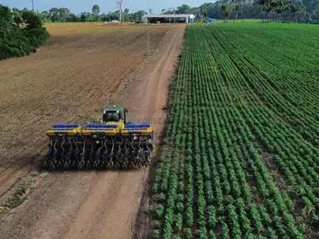 Fazenda venda em Região Geográfica Imediata de Alta Floresta, Nova Monte Verde