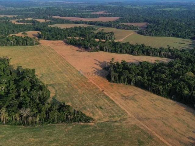 Fazenda venda em Nova Monte Verde, Região Geográfica Intermediária de Sinop