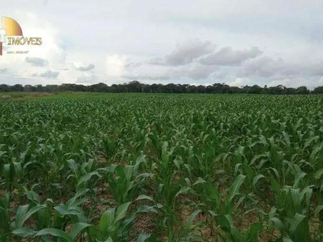 Fazenda venda em Região Geográfica Imediata de Alta Floresta, Nova Monte Verde