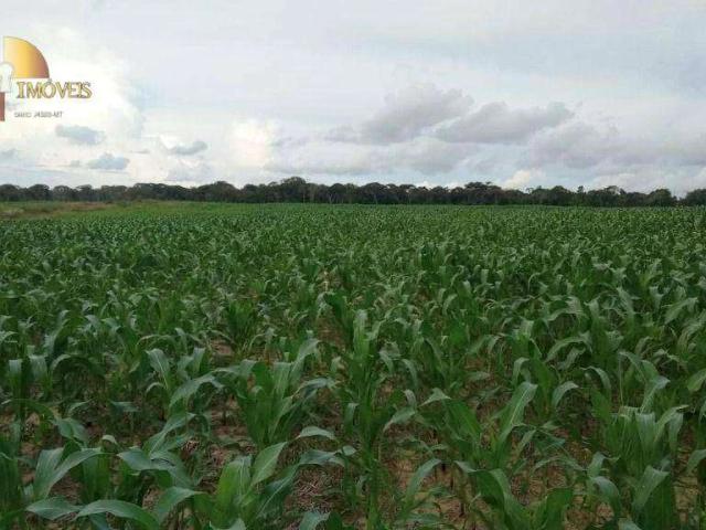 Fazenda venda em Nova Monte Verde, Região Geográfica Intermediária de Sinop