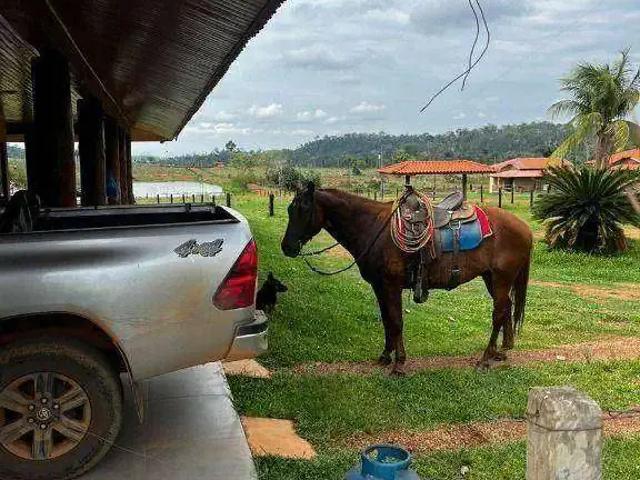 Fazenda venda em Região Geográfica Imediata de Alta Floresta, Nova Monte Verde