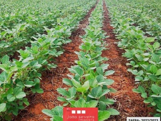 Sítio e chácara venda em Região Geográfica Imediata de Sorriso, Nova Mutum