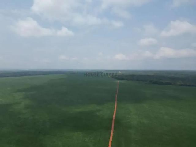 Fazenda venda em Região Geográfica Imediata de Sorriso, Nova Mutum
