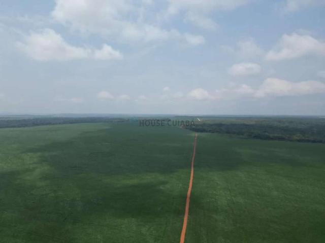 Fazenda venda em Nova Mutum, Região Geográfica Intermediária de Sinop