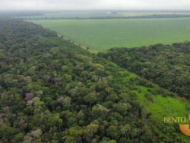 Fazenda venda em Comercial José Aparecido Ribeiro, Nova Mutum
