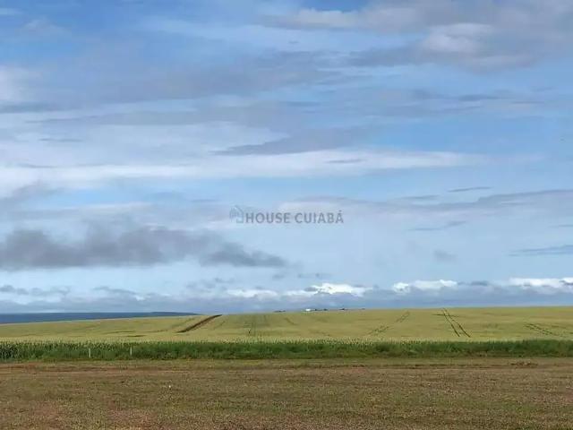Fazenda venda em Região Geográfica Imediata de Sorriso, Nova Mutum