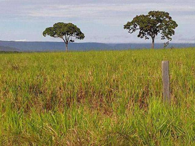 Fazenda venda em Comercial José Aparecido Ribeiro, Nova Mutum