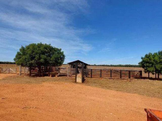 Fazenda venda em Comercial José Aparecido Ribeiro, Nova Mutum
