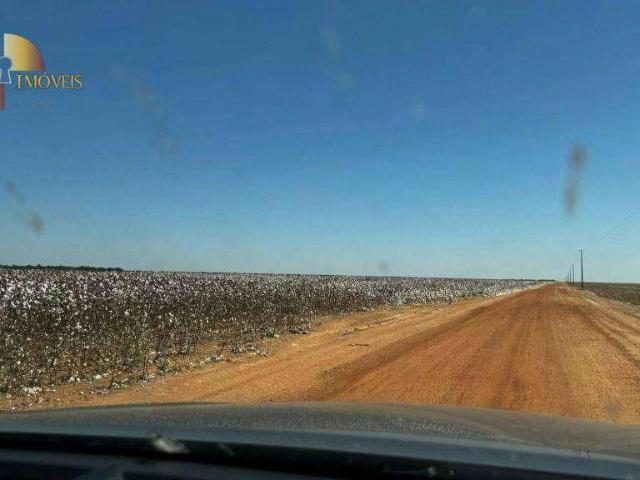 Fazenda venda em Comercial José Aparecido Ribeiro, Nova Mutum