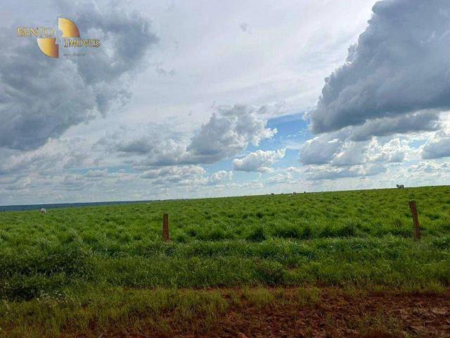 Fazenda venda em Comercial José Aparecido Ribeiro, Nova Mutum