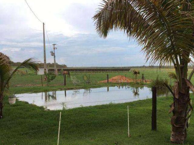 Fazenda venda em Comercial José Aparecido Ribeiro, Nova Mutum